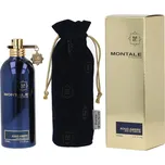 Montale Paris Aoud Ambre EDP 100 ml