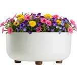 PLASTOVÝ KVĚTINÁČ TERRA 30X14,5 CM KRÉMOVÁ