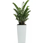 PLASTOVÝ KVĚTINÁČ PORTO RIFLO 46X25X25 CM BÍLÁ