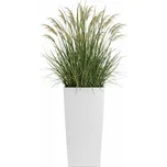 PLASTOVÝ KVĚTINÁČ PORTO RIFLO 57X29,5X29,5 CM BÍLÁ