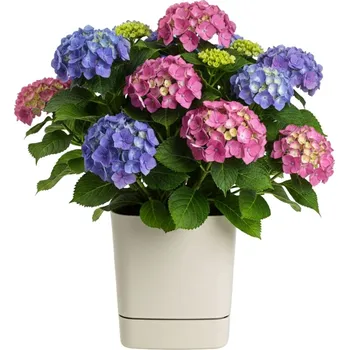 Květináč PLASTOVÝ KVĚTINÁČ CUBI 34X36,5 CM BÉŽOVÁ