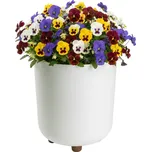 PLASTOVÝ KVĚTINÁČ TERRA 24X27,5 CM KRÉMOVÁ