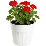 PLASTOVÝ KVĚTINÁČ SILVA LINE 20X17,5 CM KRÉMOVÁ