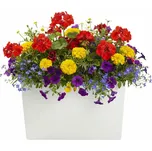 PLASTOVÝ KVĚTINÁČ BLOOM RIFLO 36X56X20 CM KRÉMOVÁ