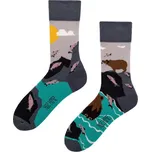 Ponožky pánské Medvěd a Rybky vícebarevná - Spox Sox