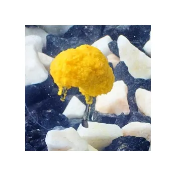 Návnadová surovina KAPRPRO REVOLUCE NA HÁČEK 30g KUKUŘICE 30g 30g