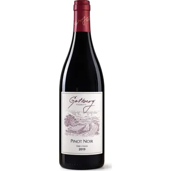 Víno Pinot Noir, 2019, výběr z hroznů, suché, Gotberg, 0,75l