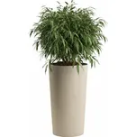 PLASTOVÝ KVĚTINÁČ URBANIKA ECO 57X29,5 CM LATTE