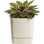 PLASTOVÝ KVĚTINÁČ CUBI 25X27,5 CM BÉŽOVÁ