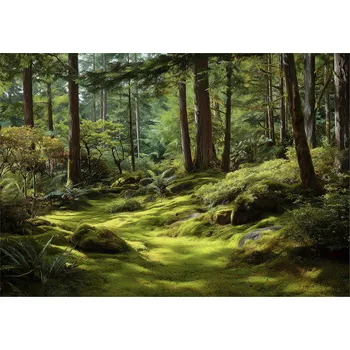 Fototapeta FOTOTAPETA LES STROMY PŘÍRODA LOŽNICE OBÝVACÍ POKOJ TAPETA VLIESOVÁ 300x210