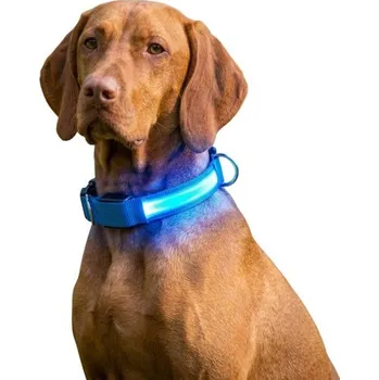 Obojek pro psa Reedog Colour svíticí obojek pro malé, střední a velké psy - Modrá - 32 - 50 cm