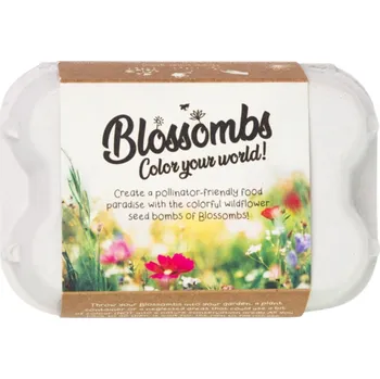 Úložný box Blossombs Dárková sada semínek divokých květin Egg Box – 6 ks