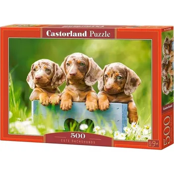 Puzzle PUZZLE 500 CUTE DACHSHUNDS CASTOR , CASTORLAND