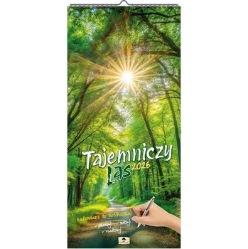 Kalendář Kalendář Pan Kalendarzyk Tajemný les 2026, vícebarevný