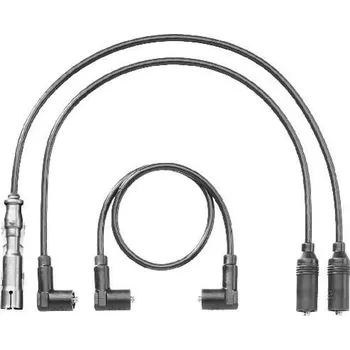 Zapalovací kabel Sada kabelů pro zapalování BorgWarner (BERU) ZEF1180