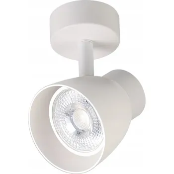Bodové svítidlo Stropní bodové svítidlo Dravo 1 spot bílé 1xGU10 Light Prestige