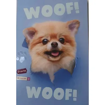 Sešit Sešit A4 s mřížkou Happy Color, 60 listů