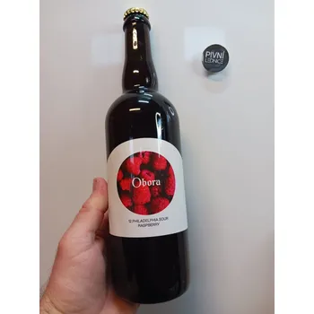 Pivo Obora Philadelphia Sour Malina 12°/5,4% 0,7l