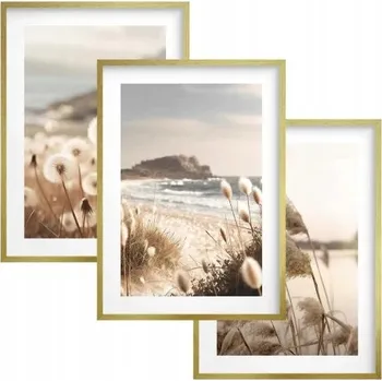 Obraz Plakáty s rámy Obrazy na zeď do obýváku ložnice Trávy Pláž Pobřeží