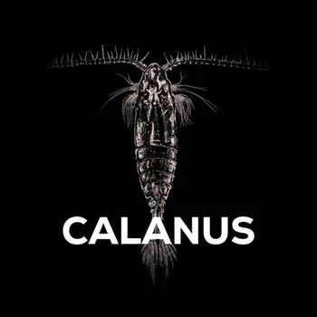 Návnadová surovina SQUAT CARP - Pelety Amino Pellets In Dip Calanus 15 mm 180 g