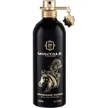 Montale Paris Arabians Tonka U EDP 100 ml