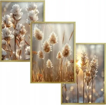 Obraz Plakáty Obrazy ve Zlatém rámu Triptych na zeď dekorace boho do obýváku