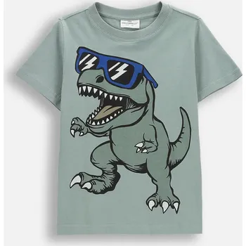 Dětská móda Dětské tričko chlapecké Bavlna Zelené Velikost 122 Coccodrillo WC6