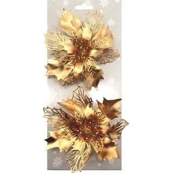 Poinsettie zlatá 14 cm, 2 ks na klipu
