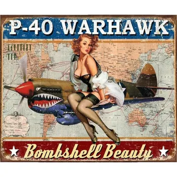 Plechová cedule D.E. metal signs Plechová cedule P-40 Warhawk 32 cm x 40 cm