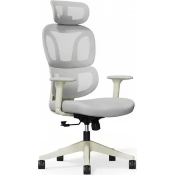 Ergonomická kancelářská židle BS5WG-PRO, šedá - A FLEXISPOT