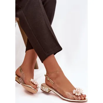 Dámské sandále S.Barski Průhledné sandály na nízkém podpatku s ozdobnými detaily D&A MR52-229 Barva: Zlatá, Velikost: 41