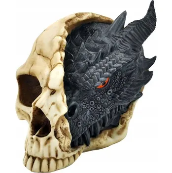 Obraz Drak Temnoty - Černý Drak ve Velké Lebce