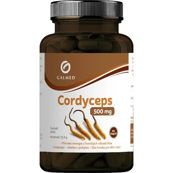 Přírodní produkt Cordyceps 500mg 90 kapslí Galmed