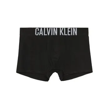 Oblečení a móda Calvin Klein Underwear Souprava boxerek B70B700510 Barevná 14_16Y