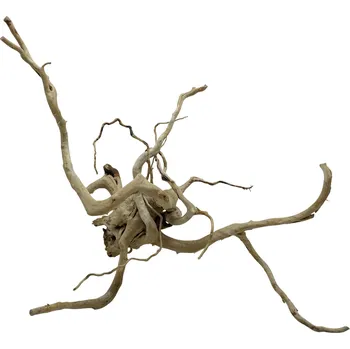 Red moor wood KG 720g (ID Z00507)