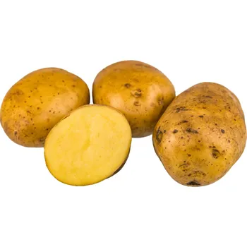 Semeno sadbové brambory EMINA váha: 25kg