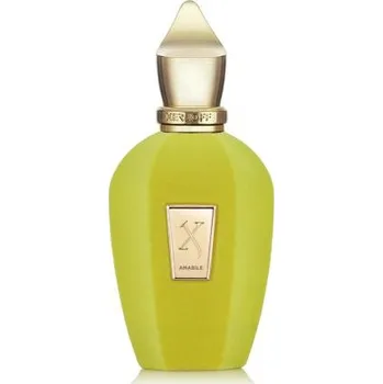 Unisex parfém Xerjoff V Collection Amabile 100 ml parfémovaná voda tester unisex