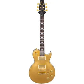 Elektrická kytara Aria PE-F80