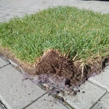 Venkovní dlažba OZY Trávníkový koberec Grasstex 2,1x25m a síťka proti krtům 2x25m