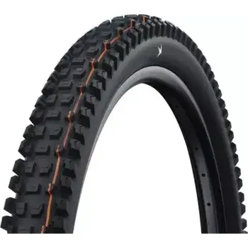 Sport Schwalbe Albert Gravity Pro 29" MTB plášť kevlar Black 2,50"