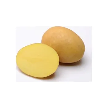 Semeno Sadbové brambory BERNINA 1kg