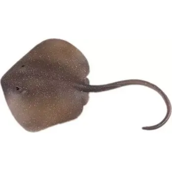 Figurka Figurka rejnok Trnucha východní