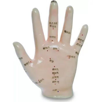 Meridiánový model ruky - 13 cm