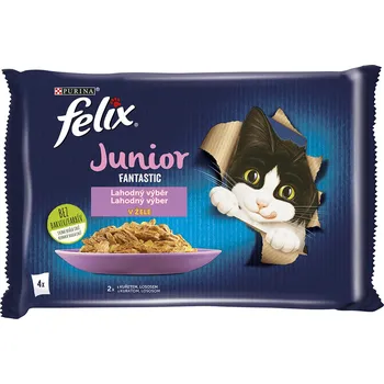 Felix Fantastic Kuře&Losos 4*85g cena za kartonové balení (Kartonové balení : 12 ks)