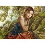 Grafika Ortega: The Storyteller III 2000 dílků