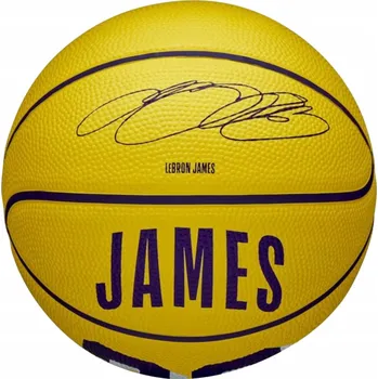 Basketbalový míč Basketbalový míč Wilson NBA Player Icon LeBron James Mini Ball vel. 3