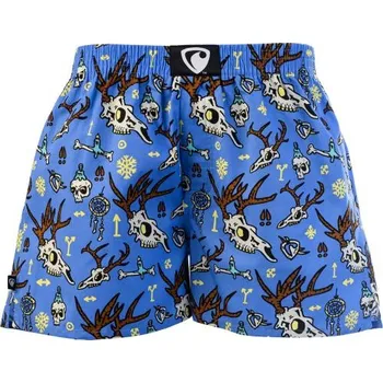 Pánské spodní prádlo TRENKY REPRESENT EXCL. ALI ICE LAND - modrá - XL + při osobním odběru 422 Kč