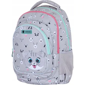 Školní batoh Astra vícekomorový panda růžový 20 l