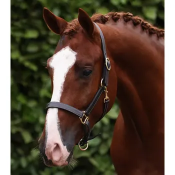 Kožená ohlávka Premier Equine Tmavě hnědá FULL