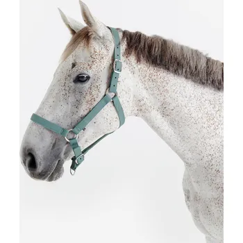 FOUGANZA Ohlávka pro koně a poníky Schooling CS ZELENÁ